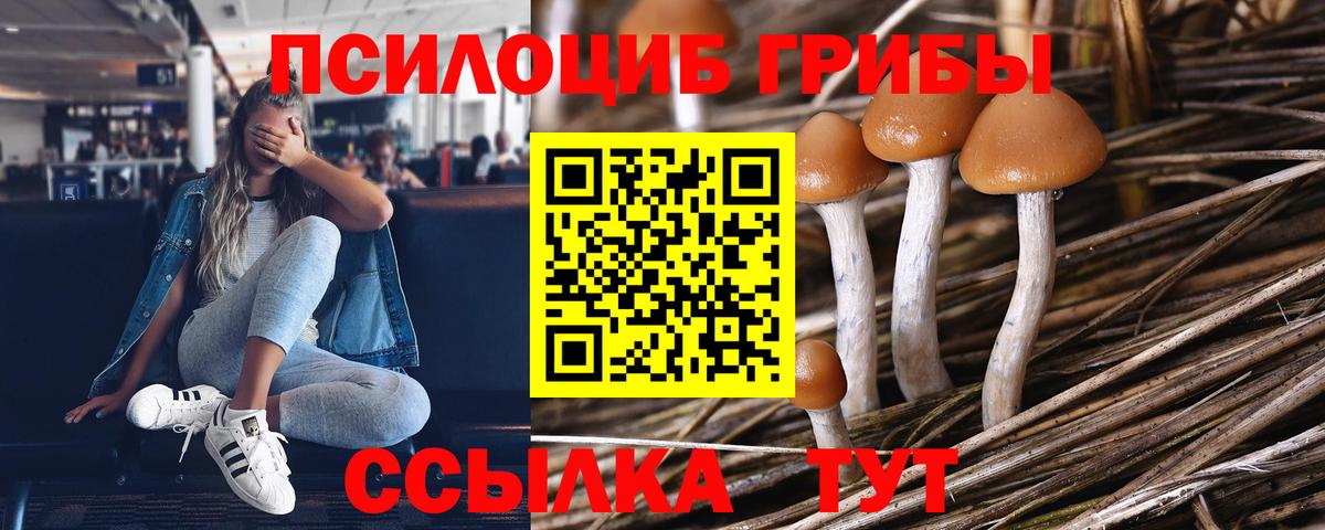 Галлюциногенные грибы MAGIC MUSHROOMS Троицк