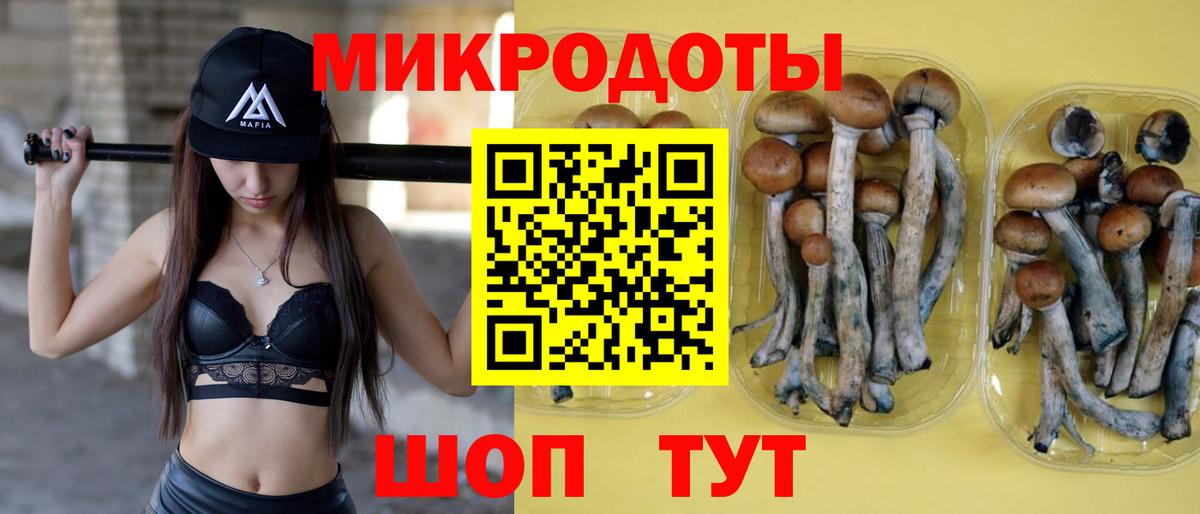 Троицк  Галлюциногенные грибы MAGIC MUSHROOMS  Галлюциногенные грибы Magic Shrooms  Вход с VPN 